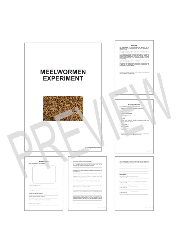 Meelwormen experiment - Afbeelding 2